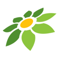 LINK TOPSLOT
